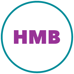 An icon of HMB