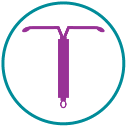 IUD icon